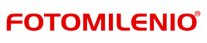 FM System logo